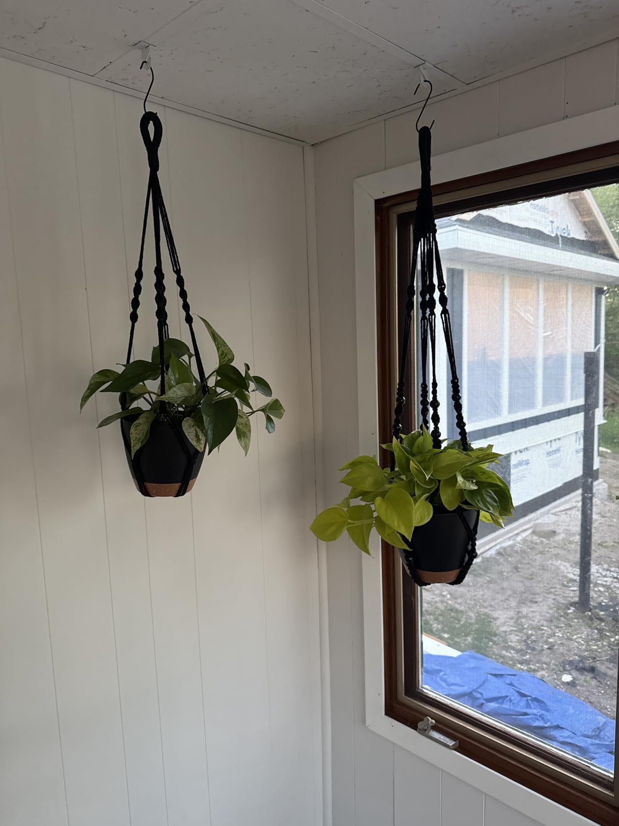 Bouqlife 3 Pack Self Watering Hanging Planters Macrame Plant Hangers with Indoor Flower Pots, 3 Different Size Hanging Basket, Plant Hanger with Hooks for Garden Home Decor Black customer photo 2