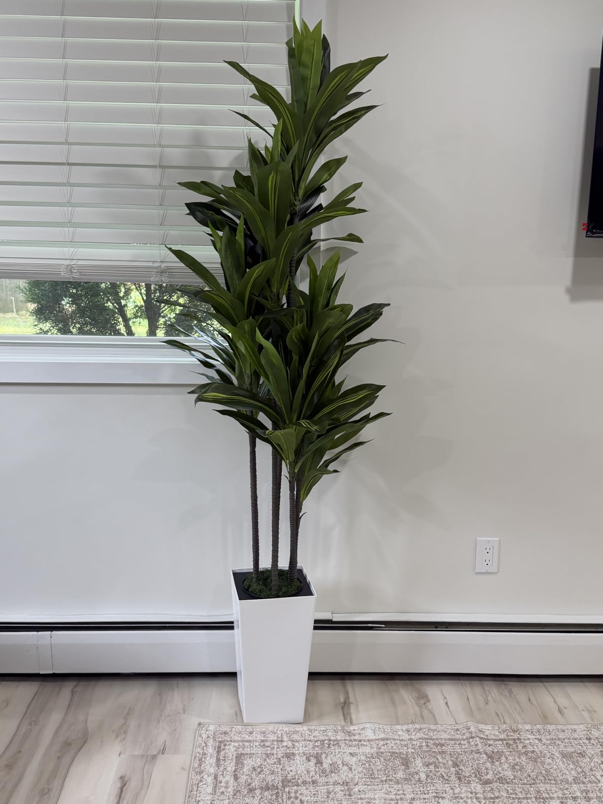 ASTIDY Artificial Plant 5FT Dracaena Fake Tree with Black Tall Planter customer photo 2