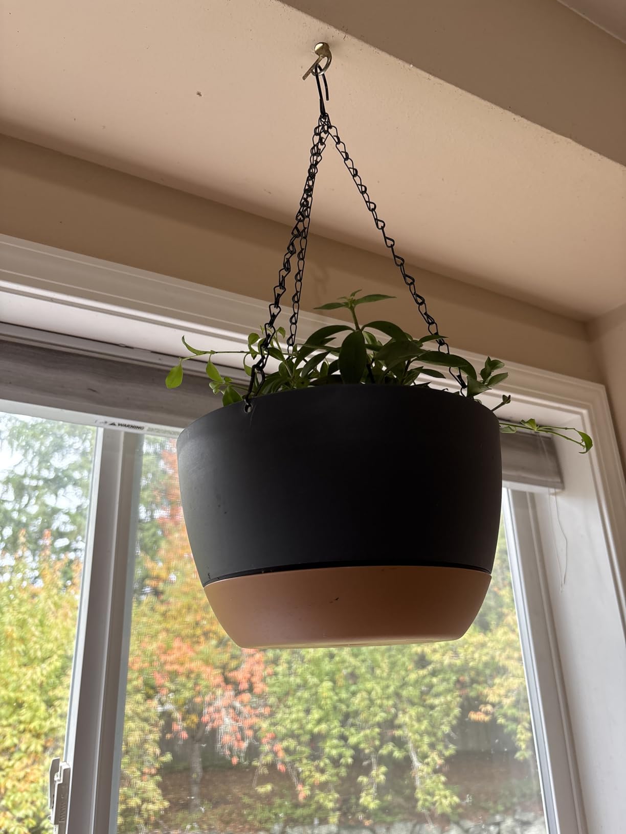 Set of 2-10 Inch Hanging Planters for Indoor Plants with Self-Watering Includes Hanging Pots for Plants, Outdoor Hanging Plant Pot with Drainage, and 2 Types of Hanging Baskets Hangers (White, 10inch) customer photo 2