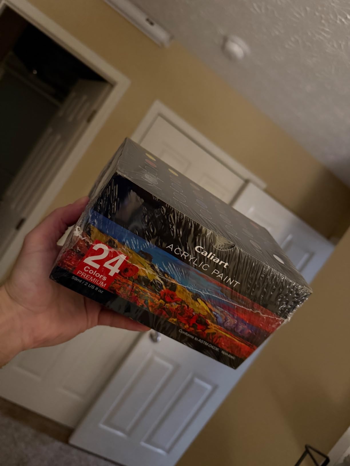 Caliart 36 Colors Acrylic Paint Set with 12 Brushes customer photo 2
