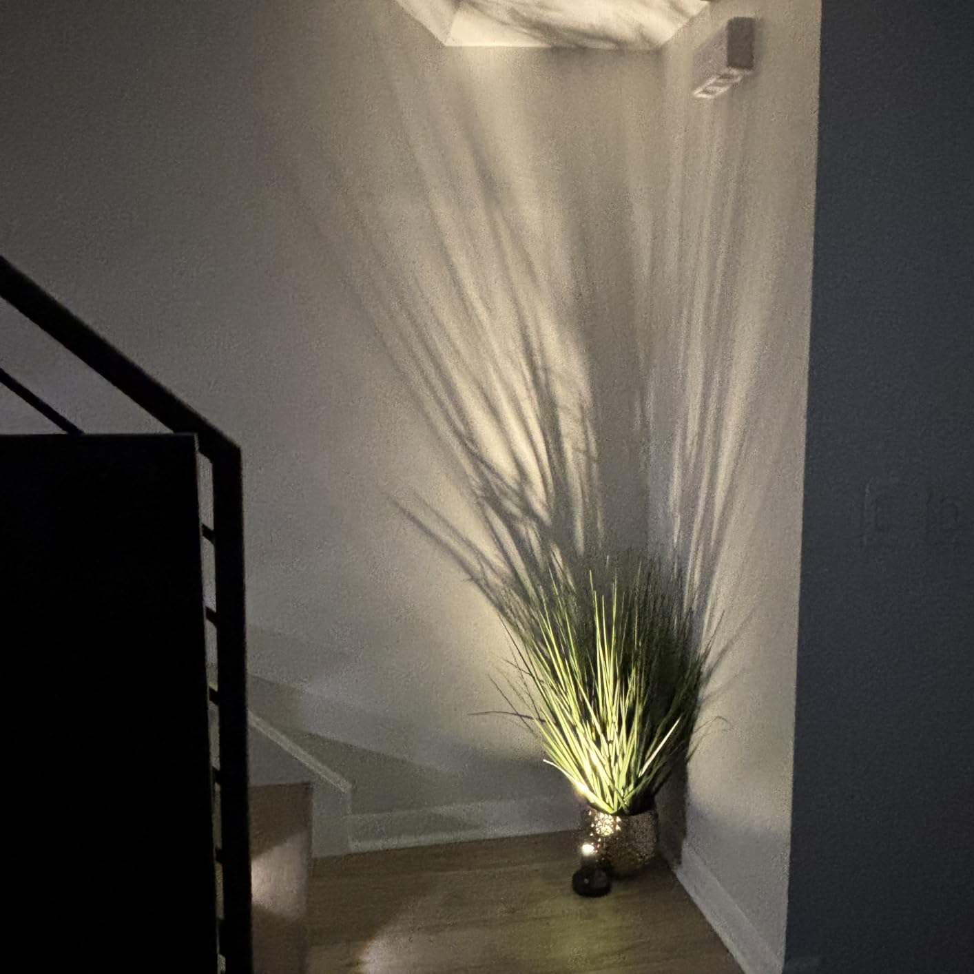 EZVALO Indoor Spotlights, Picture Lights for Wall, Uplights customer photo 1