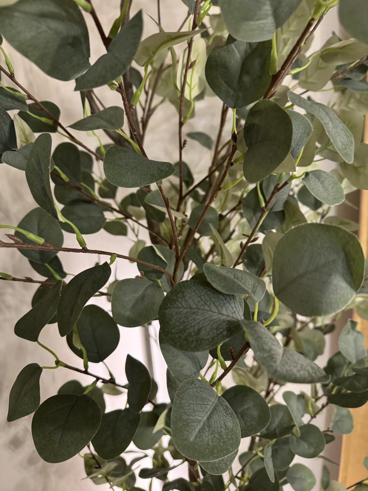Warmplants Fake Eucalyptus Tree 5ft Artificial Plant with Woven Basket customer photo 1