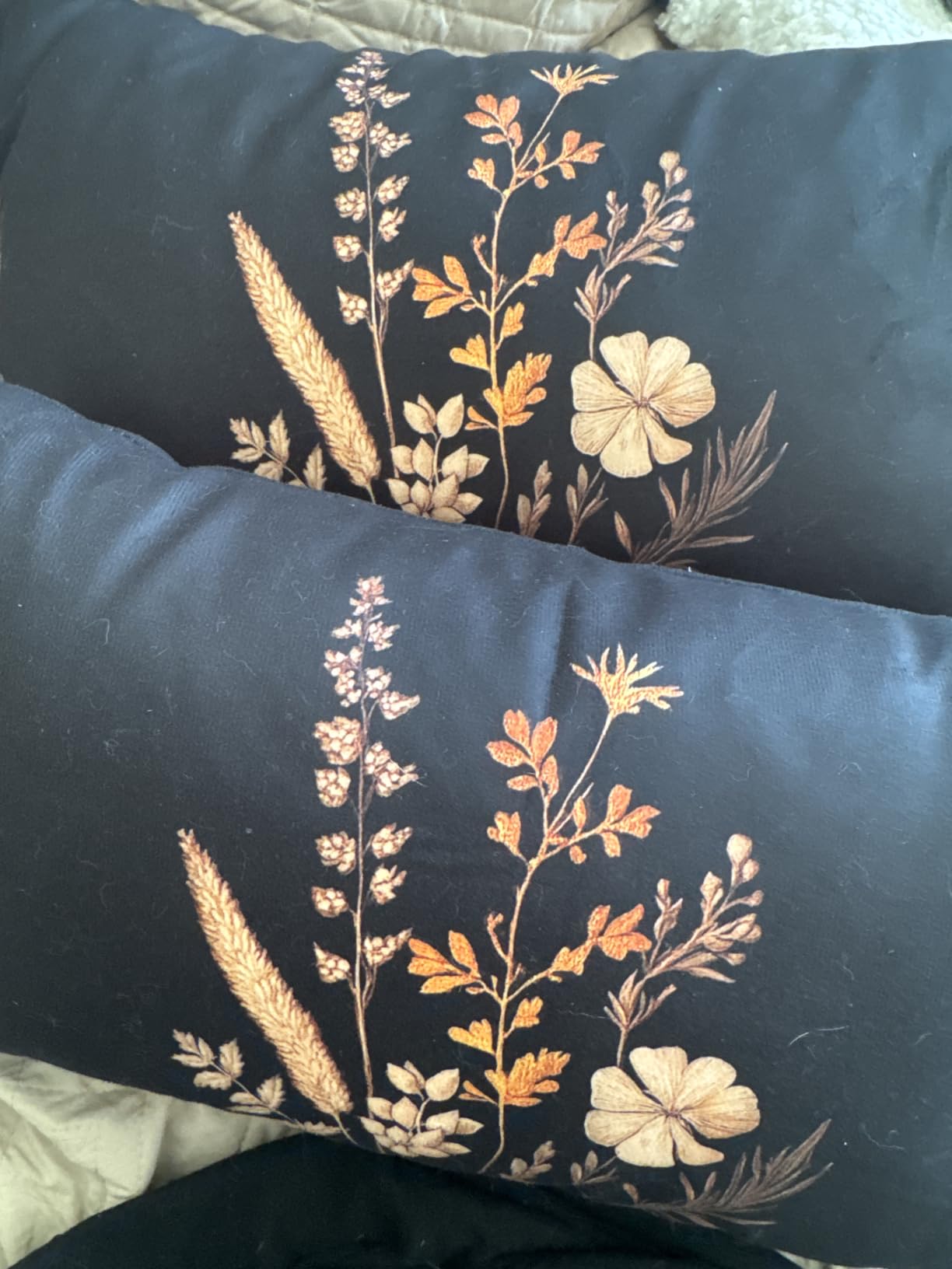 Vintage Victorian Gothic Witchy Moody Throw Pillow Covers Bedroom Decor 18x18 Set of 2, Black Butterfly Throw Pillows, Dark Academia Decor customer photo 1