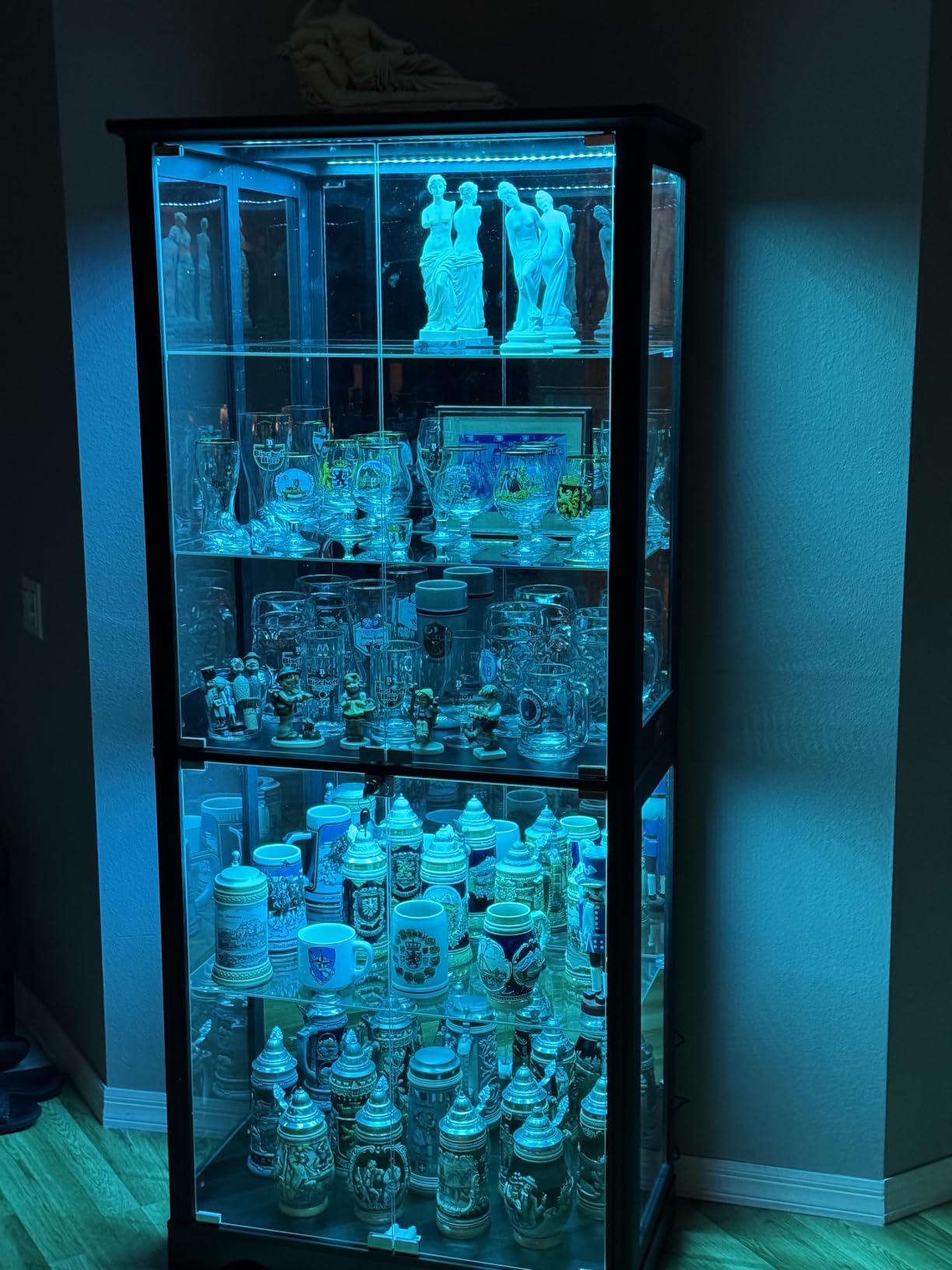 Dystler Display Cabinet with Glass Doors, RGB Lights for Collectibles customer photo 2