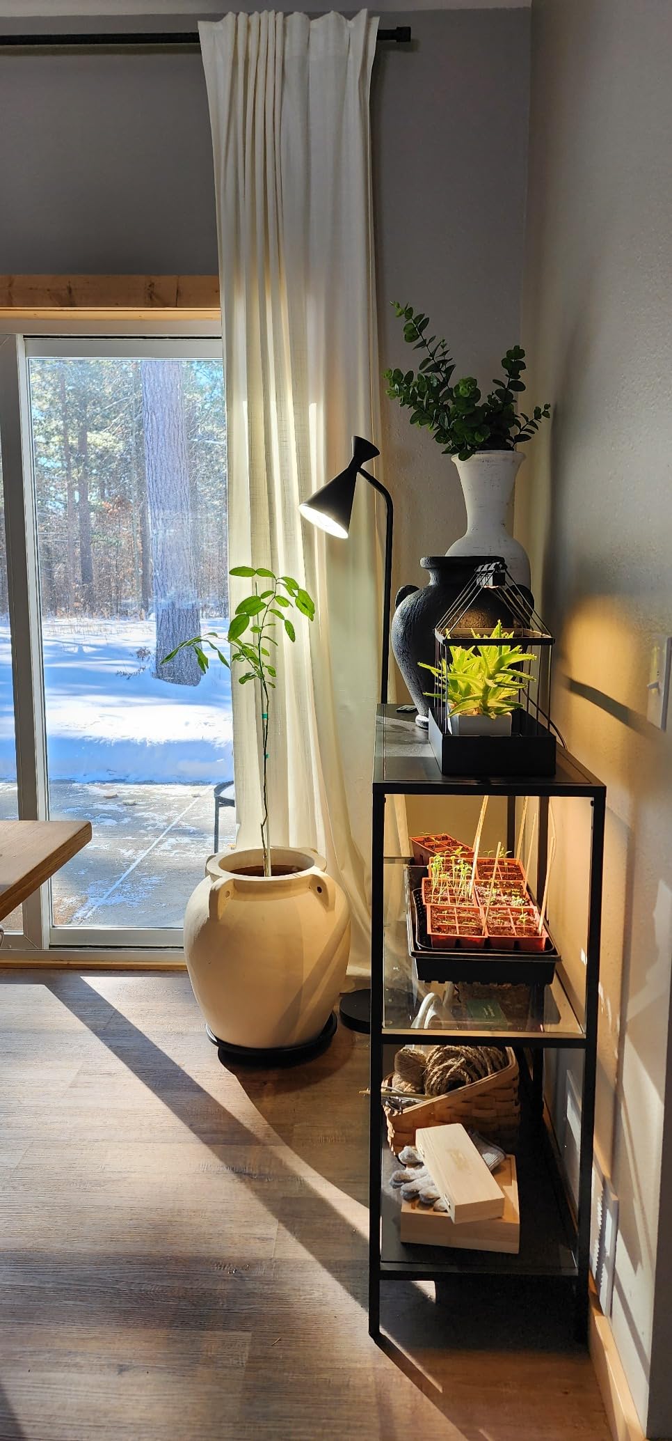 Dimmable Floor Lamp for Living Room, 65