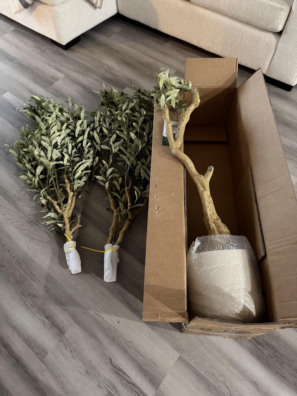 Realead 5ft Olive Trees Artificial Indoor with White Tall Exquisite Planter customer photo 1