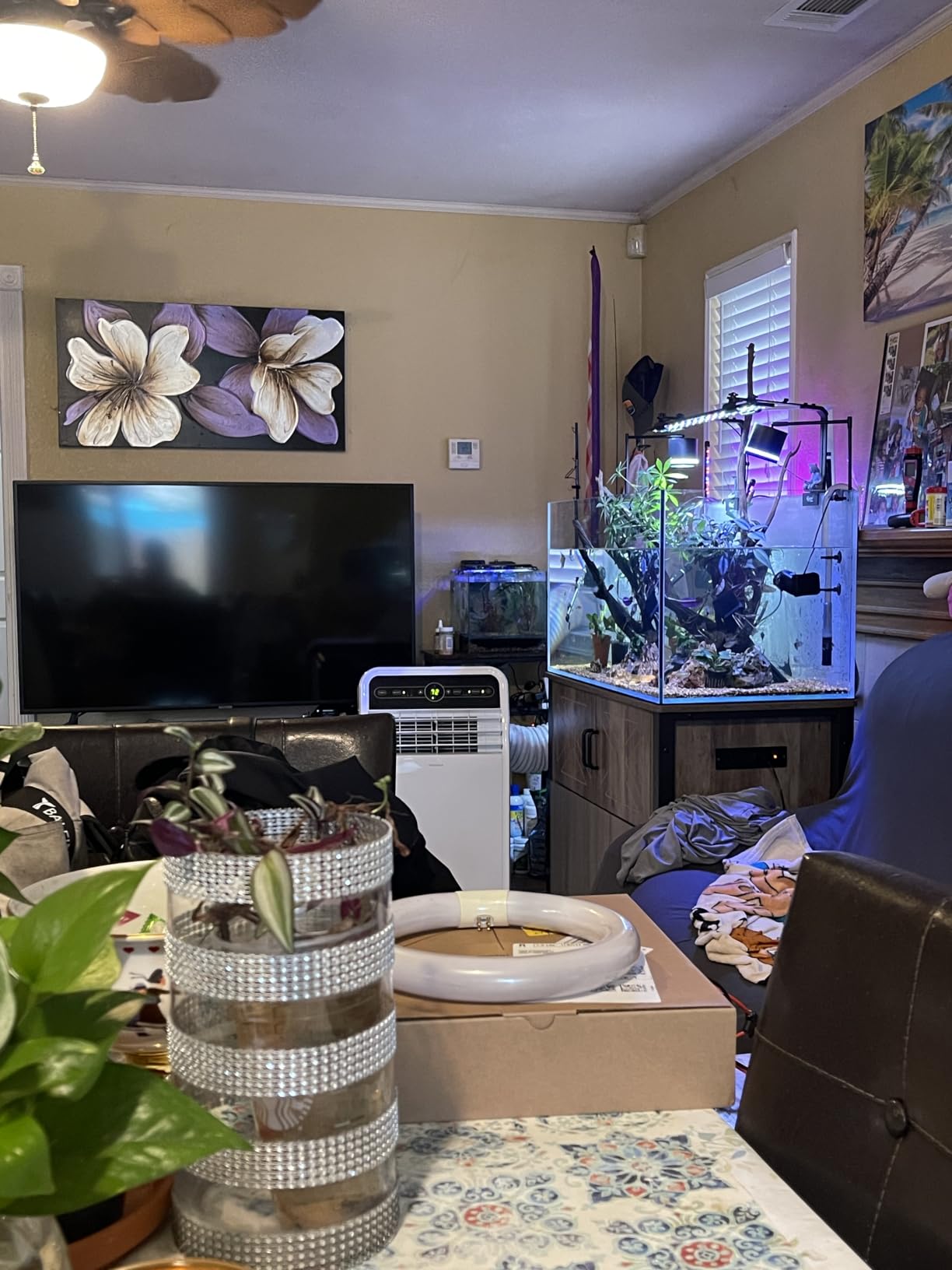 LANDEN Aquarium 90P 44 Gallon Ultra Clear Glass Rimless Fish Tank customer photo 1