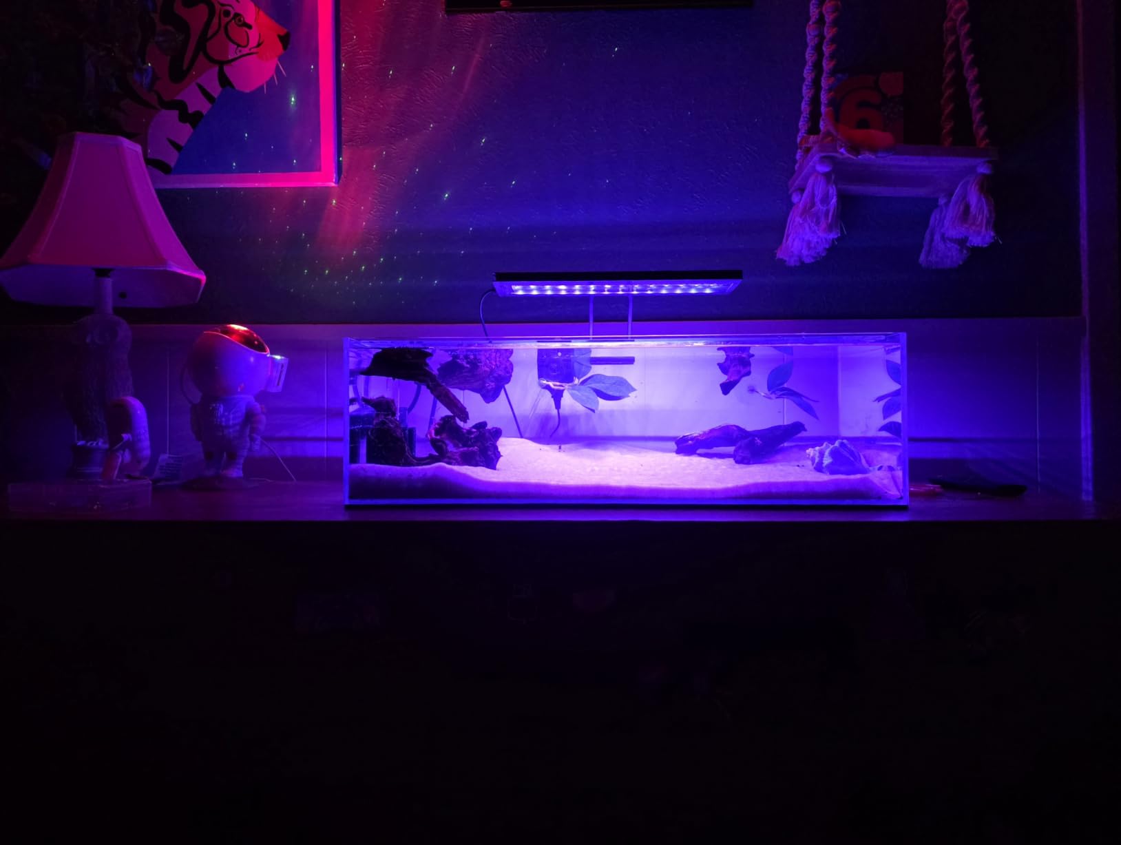 LANDEN Aquarium 90P 44 Gallon Ultra Clear Glass Rimless Fish Tank customer photo 2