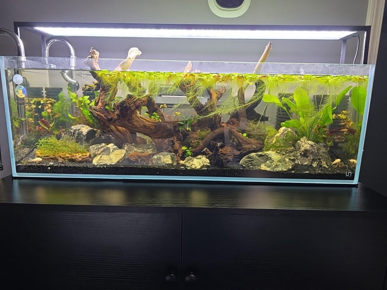 UNS Ultra Clear Rimless Tank - 16.9GAL | 64L - 15.74x15.74x15.74 | 40x40x40 CM, 6mm Glass Thickness, Leveling Mat Included - Low Iron, High Clarity Fish Tank w/ 45° Mitered Edge - [40C] customer photo 1