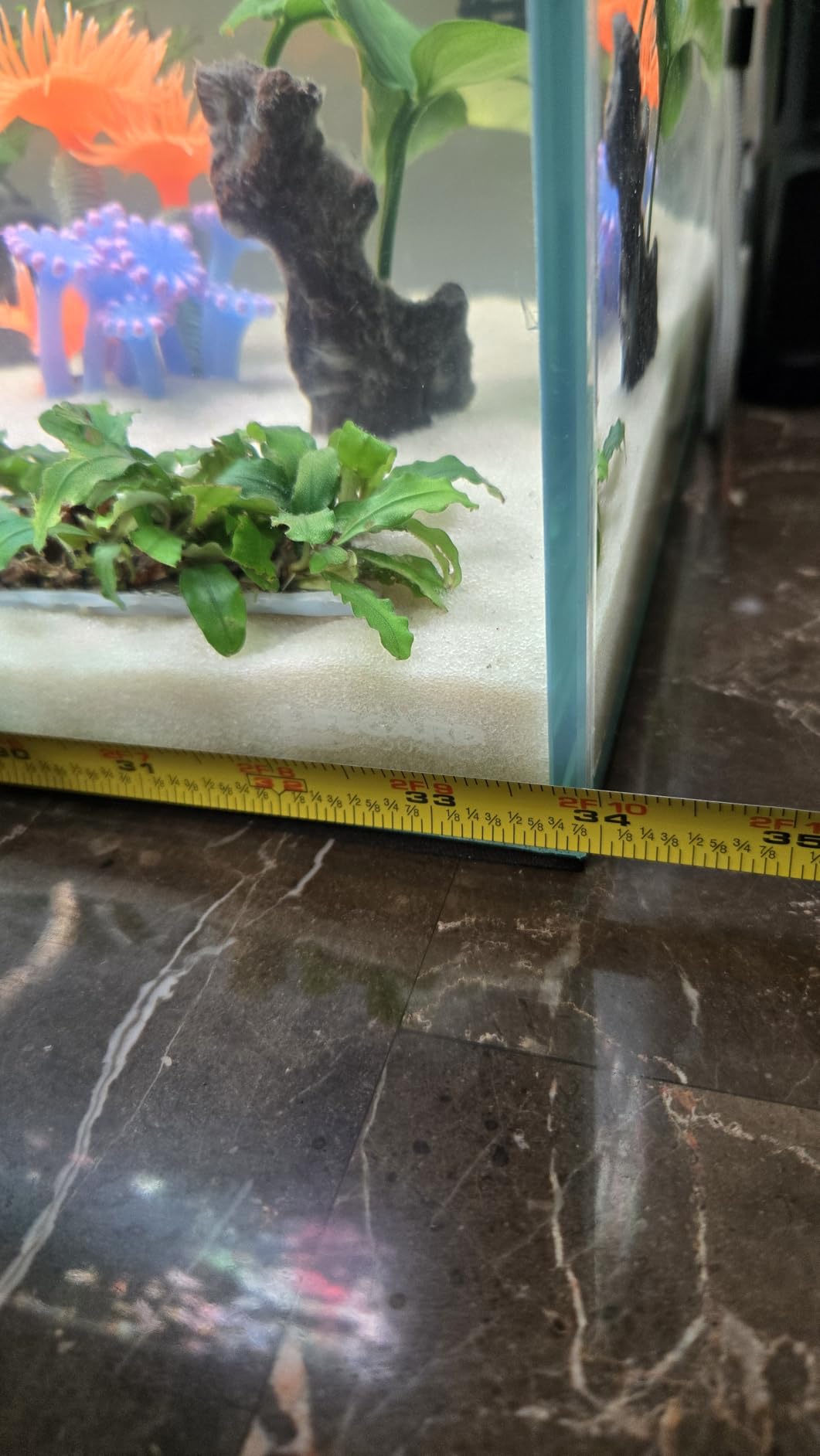 Lifegard Aquatics Bookshelf Aquarium – 16 Gallon Clear Glass Fish Tank with 6mm Thick Glass– for Freshwater/Marine, Leak-Proof, Home/Office Decor customer photo 1