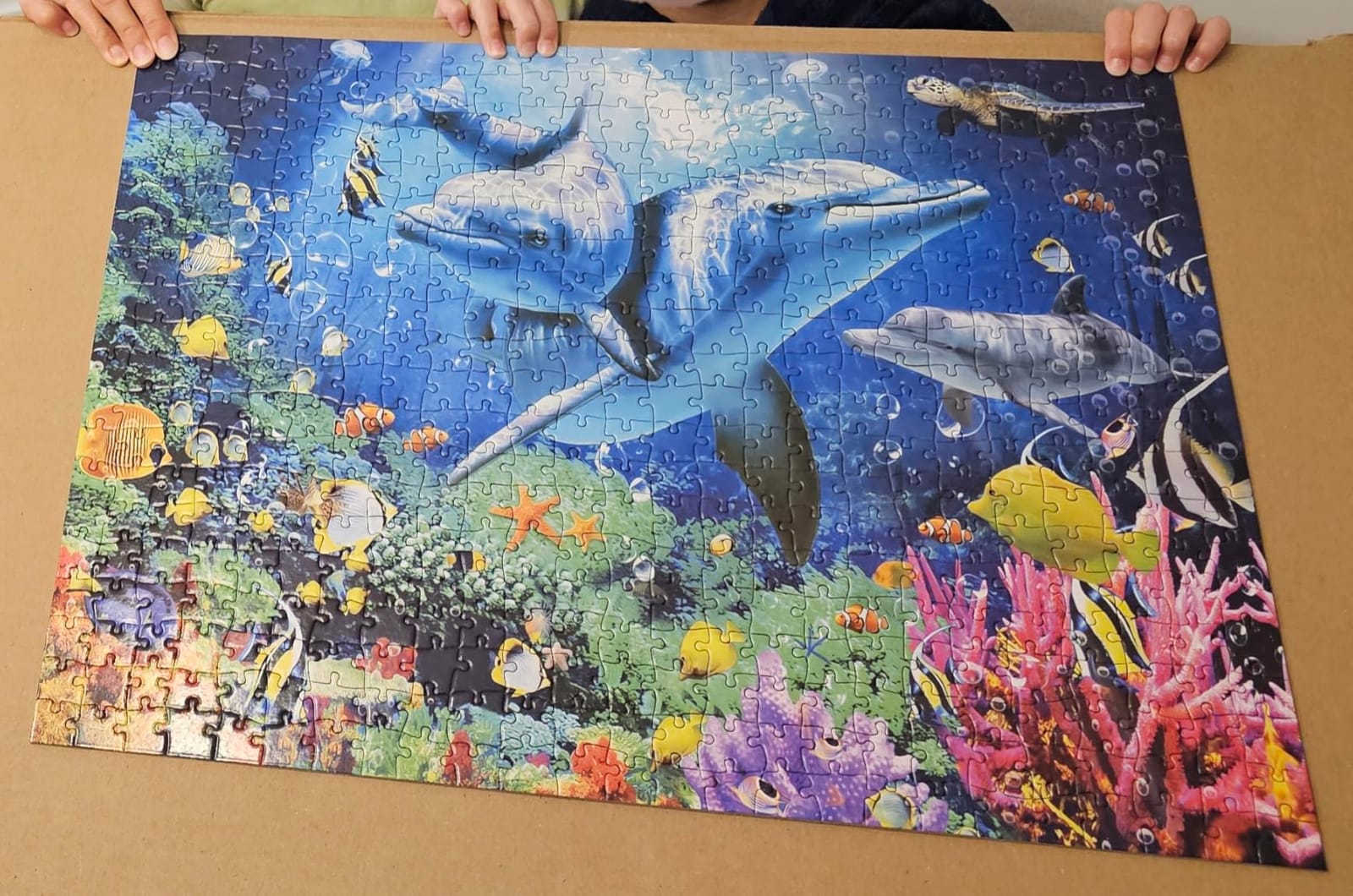 Jigsaw Puzzles 1000 Pieces,Sea Animals Puzzles for Adults 1000 Pieces customer photo 1