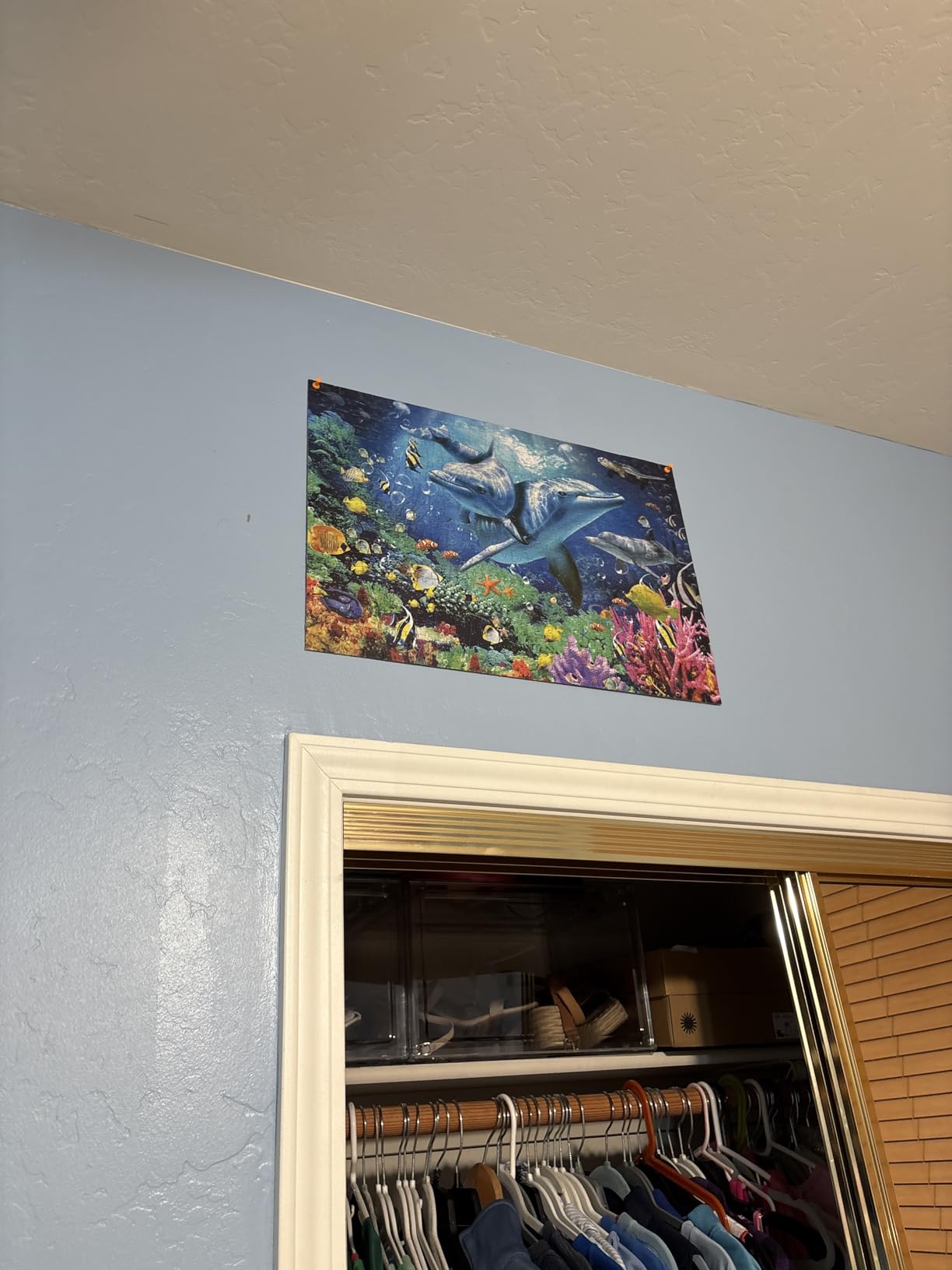 Jigsaw Puzzles 1000 Pieces,Sea Animals Puzzles for Adults 1000 Pieces customer photo 2