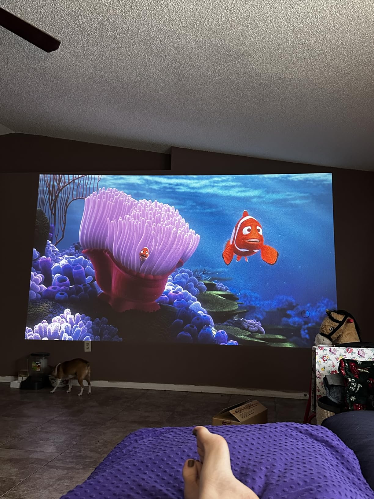 ViewSonic PA503HD 4000 Lumens 1080p Full HD DLP Projector, High Brightness customer photo 1