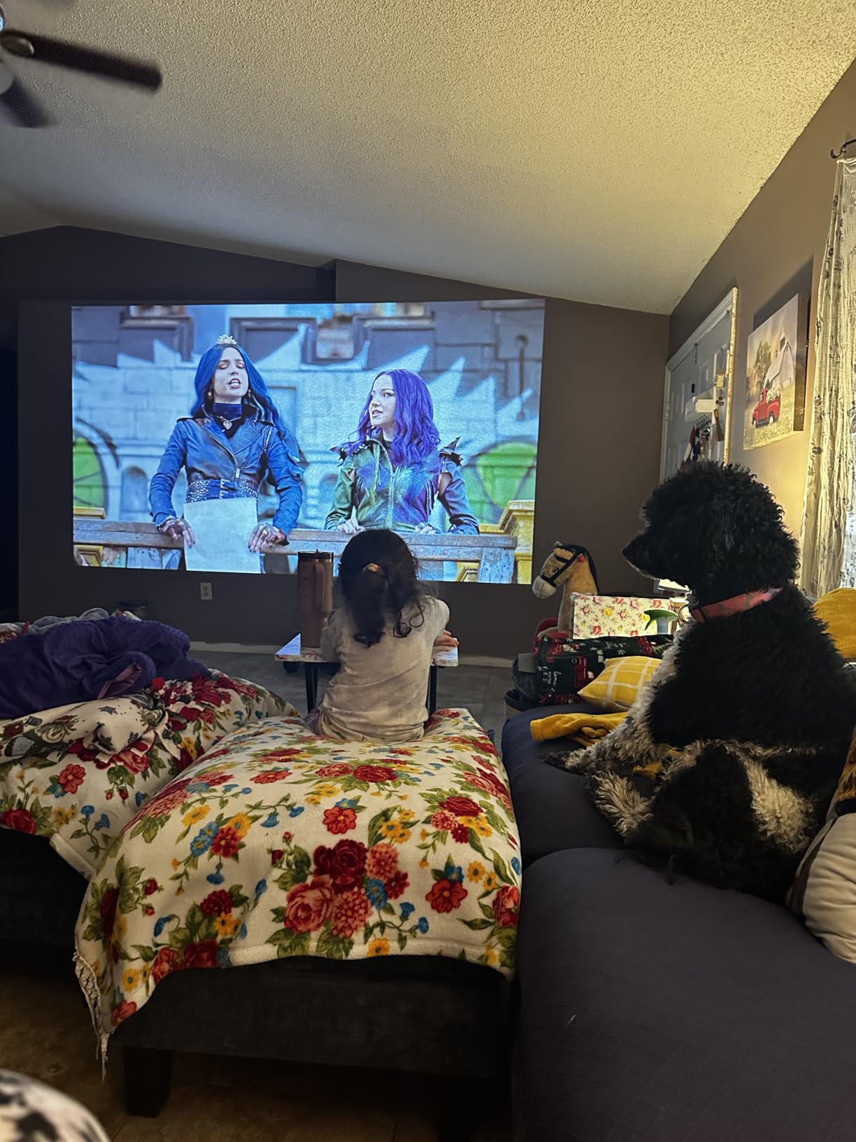 ViewSonic PA503HD 4000 Lumens 1080p Full HD DLP Projector, High Brightness customer photo 2