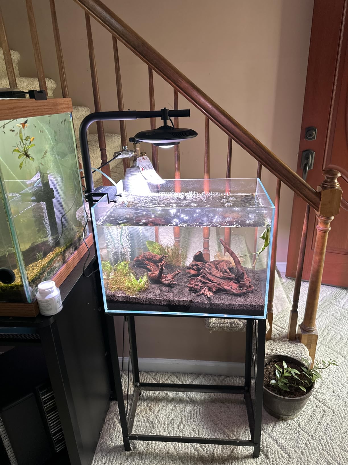LYPHARD AQUARIUMS 39 Gallon Tall Rimless Aquarium, Ultra Clear Low Iron Large Fish Tank, L19.7×W19.7×H23.6 Glass Thickness 10mm with EVA Foam Leveling Mat customer photo 1