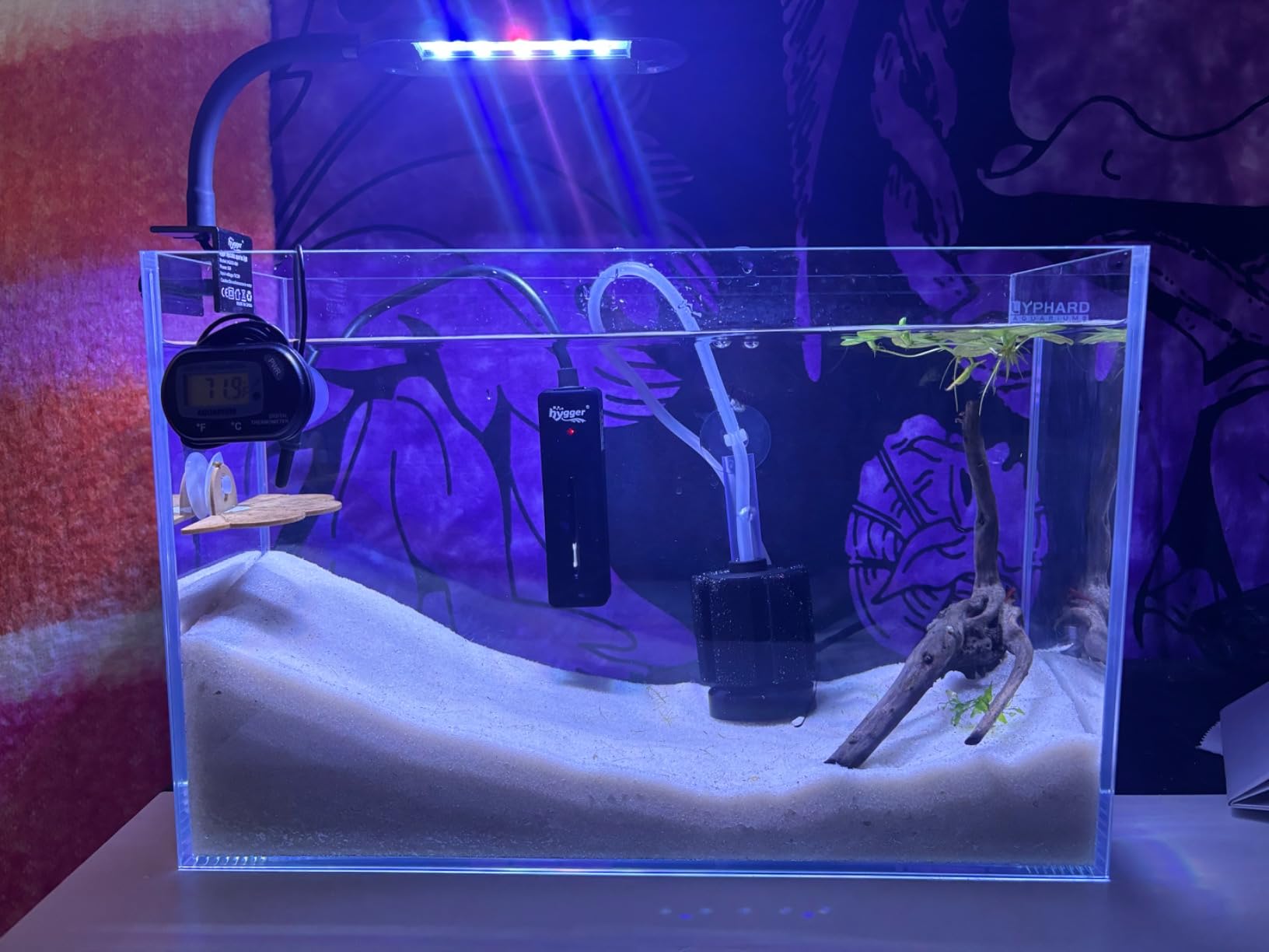 LYPHARD AQUARIUMS 39 Gallon Tall Rimless Aquarium, Ultra Clear Low Iron Large Fish Tank, L19.7×W19.7×H23.6 Glass Thickness 10mm with EVA Foam Leveling Mat customer photo 2