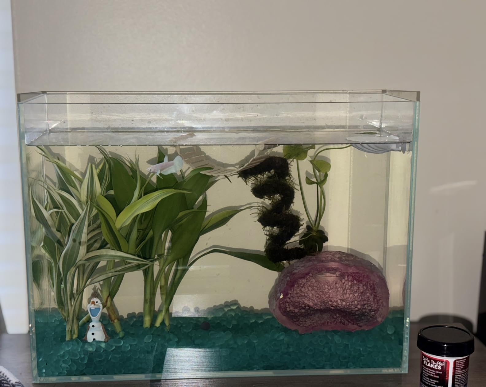 30 Gallon Rimless Aquarium, Ultra Clear Low Iron Fish Tank customer photo 1