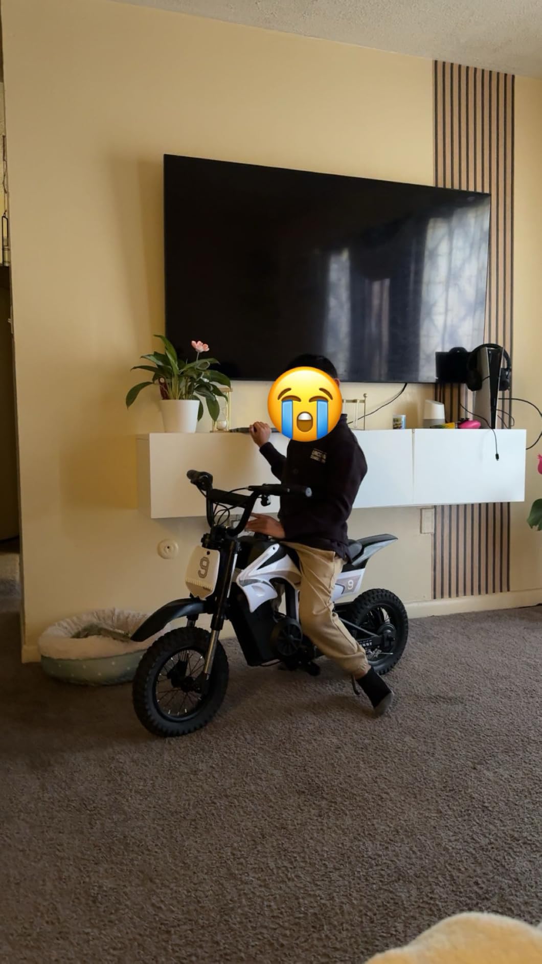 K1 Kids Electric Dirt Bike, 36V 700W Peak Motor, 16 MPH, Ages 3-8 customer photo 2